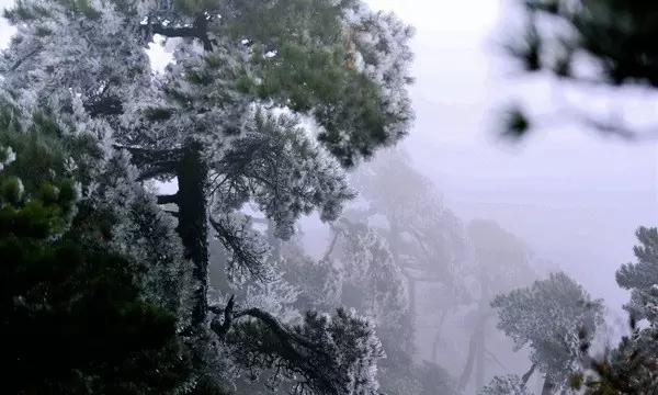 张常宁训练照公开！状态极佳，与王云蕗竞争巴黎奥运主力位置