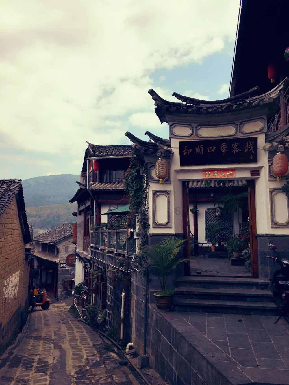 救援卷耳兔